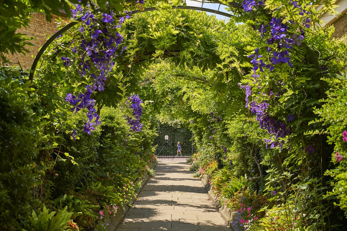 Events and Activities to Enjoy in and Around Harold Park hero image