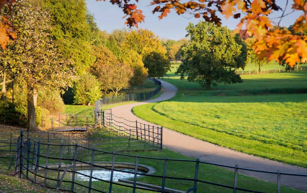 Why Harold Park Matters: Its Role in the Community Today hero image