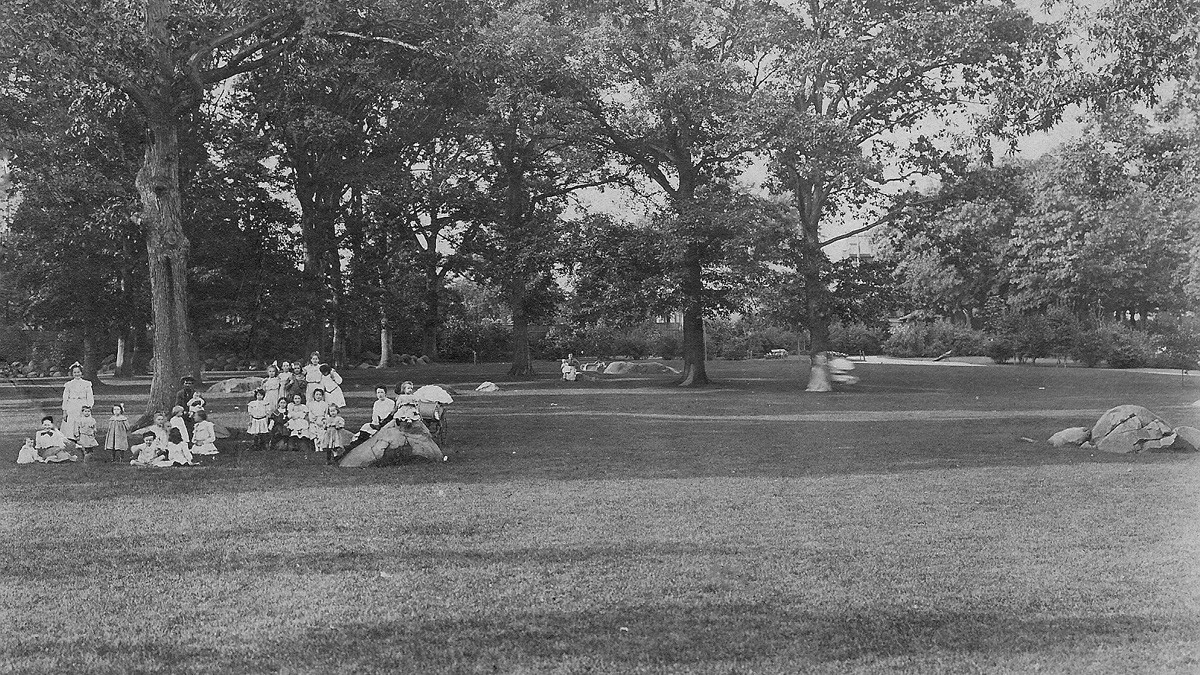 Rare Photos of Harold Park from the Early 1900s hero image