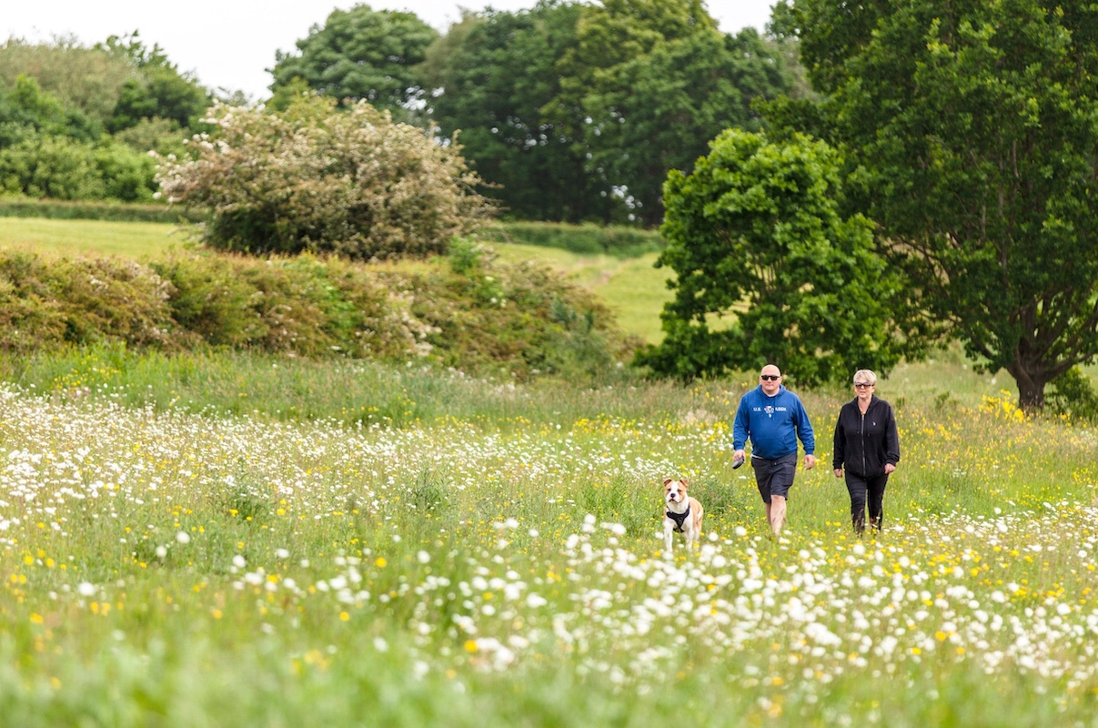 Voices of Harold Park: Memories Shared by Longtime Residents hero image