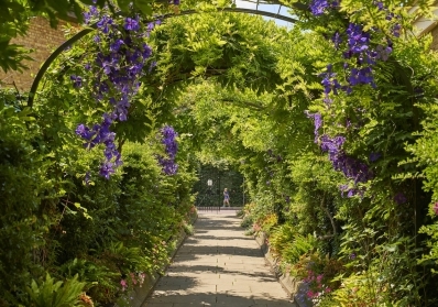 Events and Activities to Enjoy in and Around Harold Park image sidebar