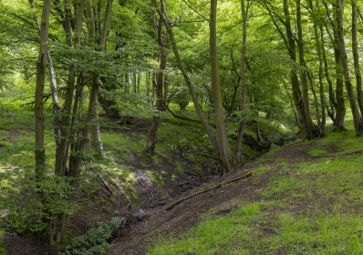 Who Built Harold Park? Meet the Visionaries Behind the Green Space image sidebar