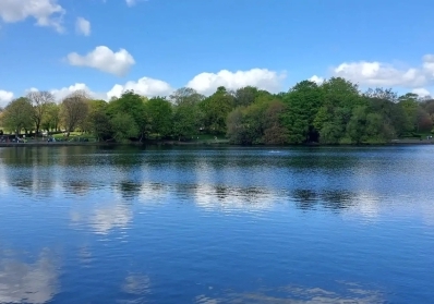 5 Surprising Facts You Didn’t Know About Harold Park image sidebar