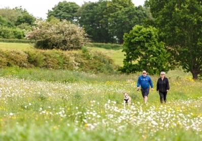 Voices of Harold Park: Memories Shared by Longtime Residents image sidebar