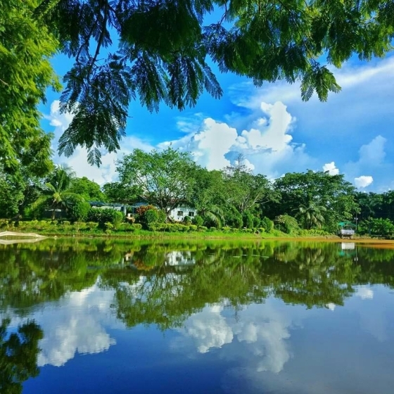 Welcome to resource exploring the history and significance of Harold Park
