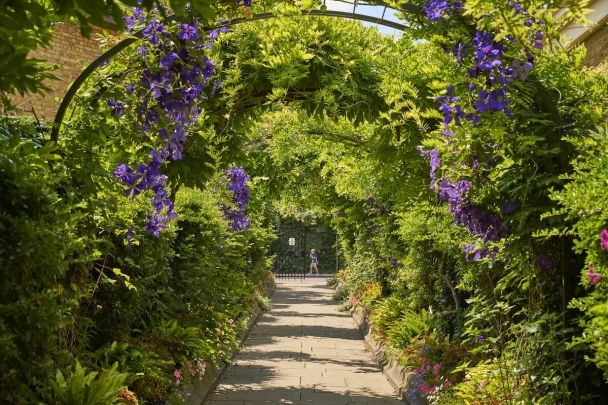 Events and Activities to Enjoy in and Around Harold Park image