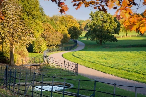 Why Harold Park Matters: Its Role in the Community Today image